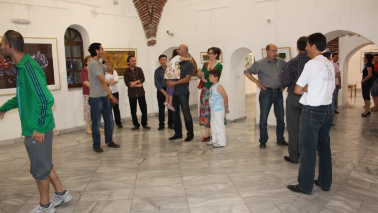 Enver Selimi 2013